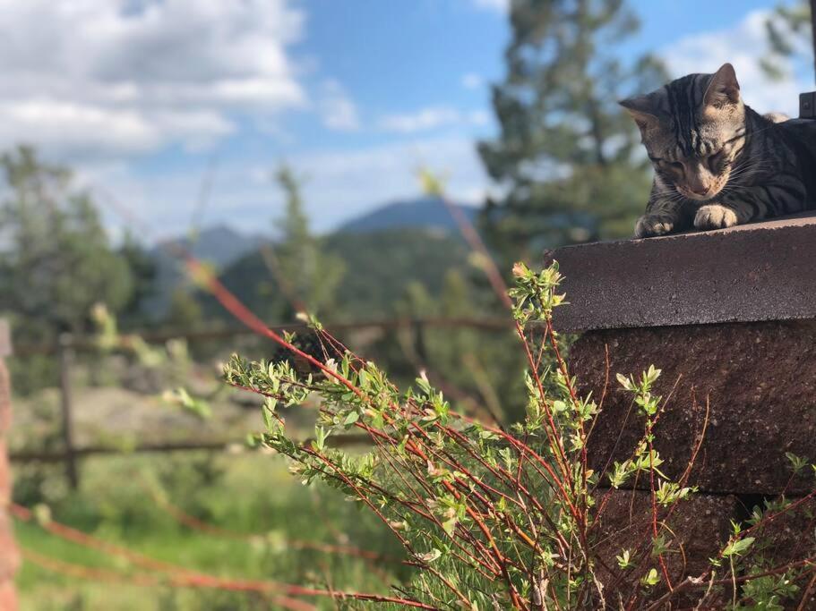 Boulder Best City And Nature With Lake And Trails Pets Ok Exteriör bild