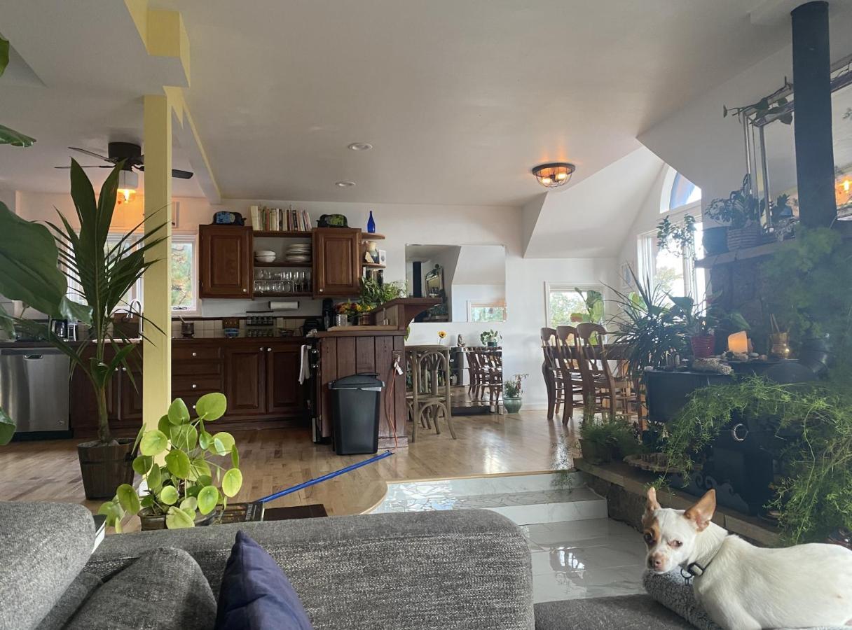 Boulder Best City And Nature With Lake And Trails Pets Ok Exteriör bild